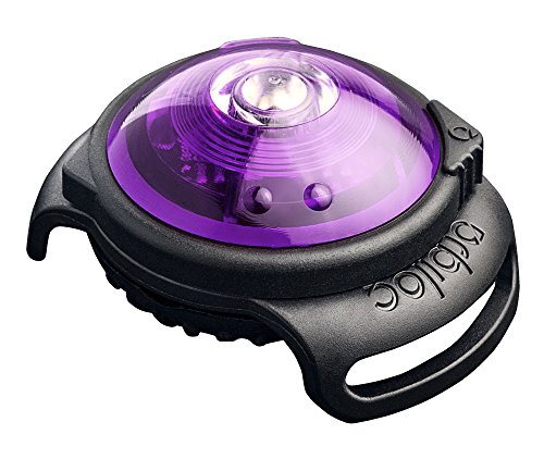 Orbiloc 393342/2937 Dog Dual Safety Light Hundelicht mit Befestigungsgummi, purple von Orbiloc