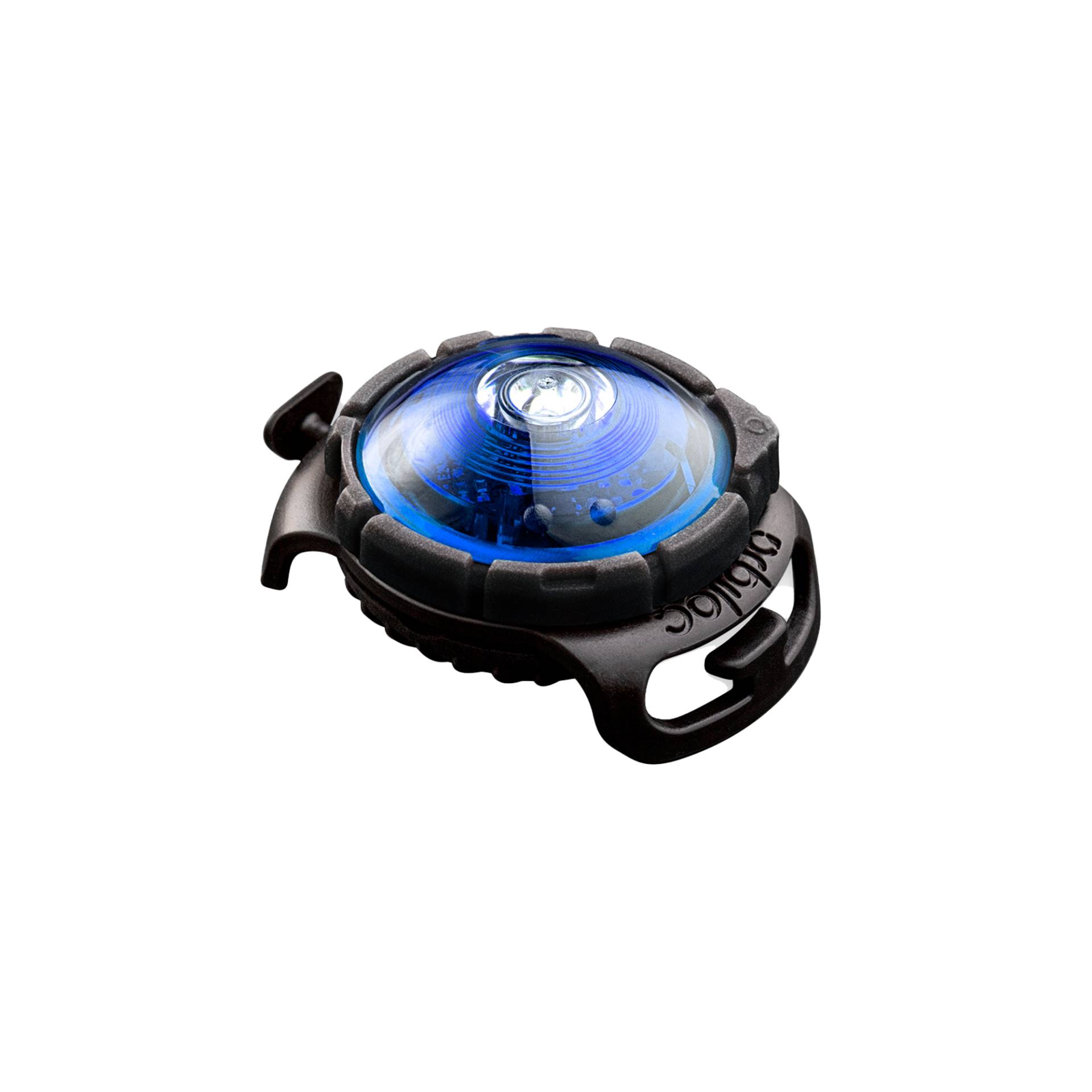 Orbiloc Dog Dual Safety Light - Blau von Orbiloc