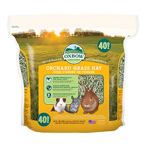Petlife Oxbow Knaulgras-Heu für Kleintiere, 1,13 kg von Orchard Grass