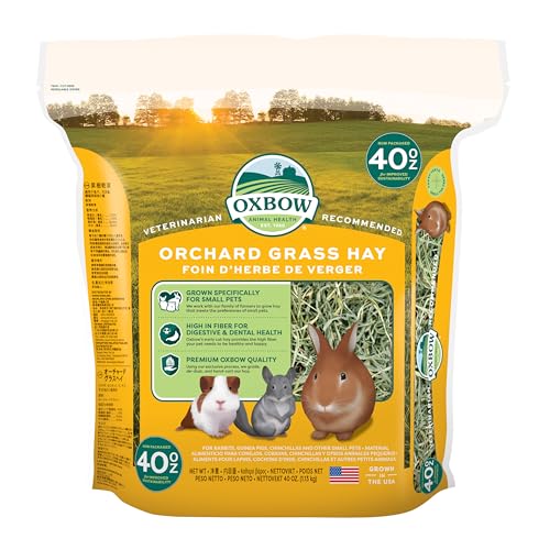 Petlife Oxbow Knaulgras-Heu für Kleintiere, 1,13 kg von Orchard Grass