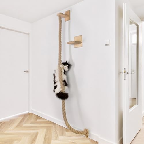 An der Wand Montierter Katzenkletterer, Seilkratzbaum, Katzenwandmöbel, Katzensitzstangen, Regal, Katzenwandregale, Katzenbaumstufen für Kitty Klettern Schlafen Im Innenbereich An der Wand Montierter Katzenkletterer, Seilkratzbaum, Katzenwandmöbel, Katzensitzstangen, Regal, Katzenwandregale, Katzenbaumstufen für Kitty Klettern Schlafen Im Innenbereich von Oreilet