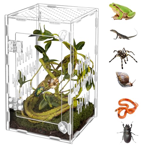 Reptilien-Terrarium aus Acryl, einfache Montage, 360 ° transparent, hält das Haustier sicher, Design für springende Spinnen, Vogelspinnen, Geckos, kratzfest, großes belüftetes Lebensraum-Terrarium für von Orekemo