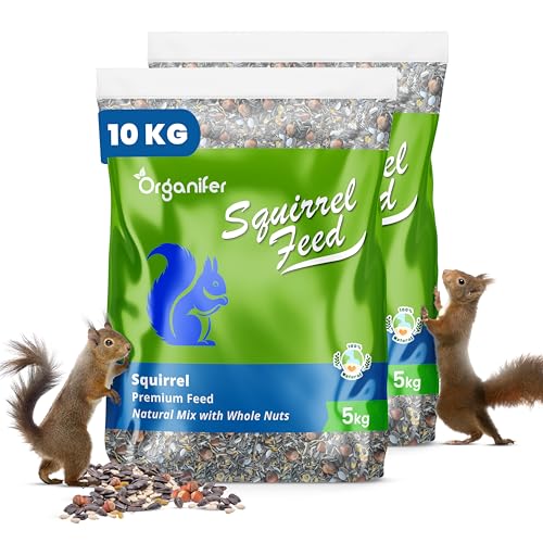 Eichhörnchenfutter - Natürliche Mischung Mit Ganzen Nüssen (10 Kg) - Speziell Für Eichhörnchen, Reich An Proteinen, Und Ballaststoffen - Für Vogelhäuschen - Pestizidfrei - Jede Jahreszeit - Organifer von Organifer