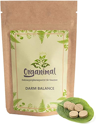 Organimal Darm Balance - Hunde Probiotika & Präbiotika zum Aufbau der Darmflora und Darmfunktion - Auch bei akutem Durchfall - Natürliches Nahrungsergänzungsmittel - 45 Tabl. à 700mg für Hunde <30kg Organimal Darm Balance - Hunde Probiotika & Präbiotika zum Aufbau der Darmflora und Darmfunktion - Auch bei akutem Durchfall - Natürliches Nahrungsergänzungsmittel - 45 Tabl. à 700mg für Hunde <30kg von Organimal