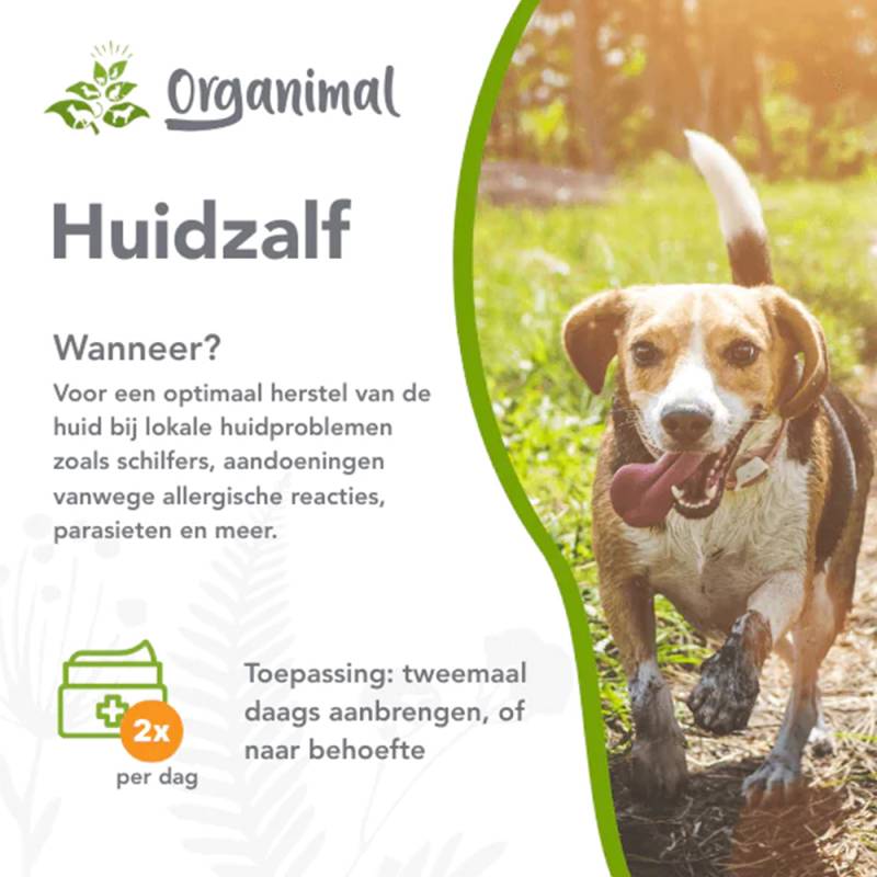 Organimal Hautsalbe - Hund - 50 ml Organimal Hautsalbe - Hund - 50 ml von Organimal