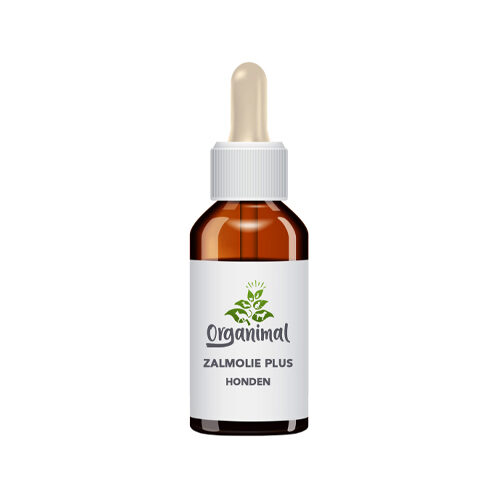 Organimal Lachsöl Plus Hund - 100 ml von Organimal