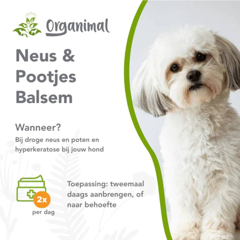 Organimal Nasen- & Pfotenbalsam - Hund - 50 ml Organimal Nasen- & Pfotenbalsam - Hund - 50 ml von Organimal