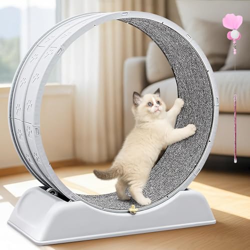 Orifesio Katzenlaufrad, Laufrad für Katzen 80 cm, Katzen Laufband mit Katzenangel, Cat Running Wheel für Indoor-Katze, Beschäftigungsspielzeug für Katzen mit Sicherheitsschloss, Abnehmbarer Teppich Orifesio Katzenlaufrad, Laufrad für Katzen 80 cm, Katzen Laufband mit Katzenangel, Cat Running Wheel für Indoor-Katze, Beschäftigungsspielzeug für Katzen mit Sicherheitsschloss, Abnehmbarer Teppich von Orifesio