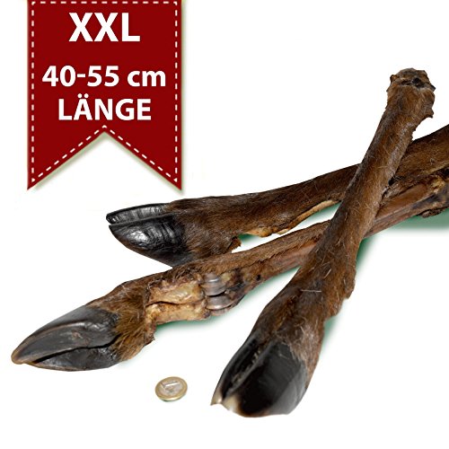 Original-Leckerlies: 2 Hirschbeine mit Fell, 40-55 cm, Kauartikel, extra Langer KAUSPASS, Kausnack ohne Zusätze, Naturprodukt für Hunde, Rehbein, Fettarm, barfen Original-Leckerlies: 2 Hirschbeine mit Fell, 40-55 cm, Kauartikel, extra Langer KAUSPASS, Kausnack ohne Zusätze, Naturprodukt für Hunde, Rehbein, Fettarm, barfen von Original-Leckerlies