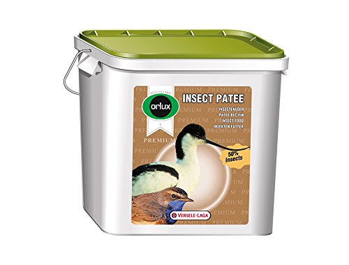 Orlux Insekt Patee Premium 2kg, 1er Pack (1 x 2 kg) von Orlux