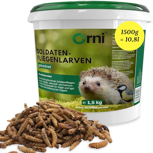 Orni Soldatenfliegenlarven getrocknet 1,5kg | Insektenfutter für Wildvögel, Igel, Fische, Reptilien & Eichhörnchen – eiweißreich, artgerechte Mehlwurm-Alternative, ohne Zusatzstoffe Orni Soldatenfliegenlarven getrocknet 1,5kg | Insektenfutter für Wildvögel, Igel, Fische, Reptilien & Eichhörnchen – eiweißreich, artgerechte Mehlwurm-Alternative, ohne Zusatzstoffe von Orni
