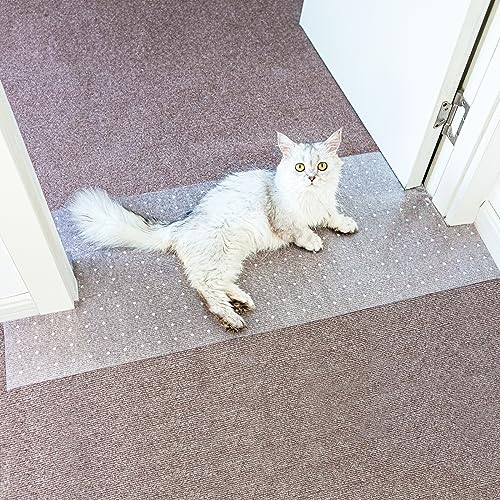 Rutschfester Katzenkratz-Teppichschutz für Tür, 1,5 m Teppichschutz für Haustiere, Teppichkratzstopper mit Nägeln für Hunde/Autos, rutschfestes Design von Oroonoko