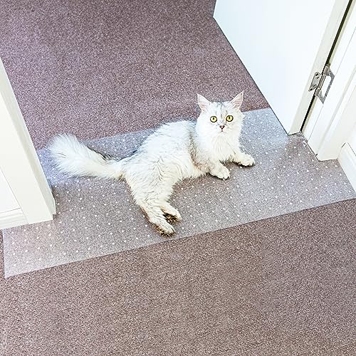 Rutschfester Katzenkratz-Teppichschutz für Tür, 1,5 m Teppichschutz für Haustiere, Teppichkratzstopper mit Nägeln für Hunde/Autos, rutschfestes Design Rutschfester Katzenkratz-Teppichschutz für Tür, 1,5 m Teppichschutz für Haustiere, Teppichkratzstopper mit Nägeln für Hunde/Autos, rutschfestes Design von Oroonoko