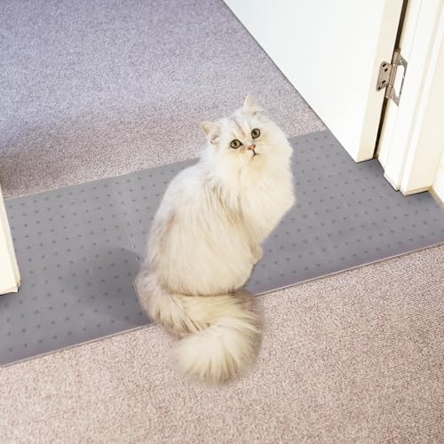 Teppichschutz für Haustiere, Katzenteppichschutz für Tür, Anti-Kratzer unter der Tür, leicht zu schneidender Kunststoff-Stopper (Hellgrau, 1,9 m) von Oroonoko