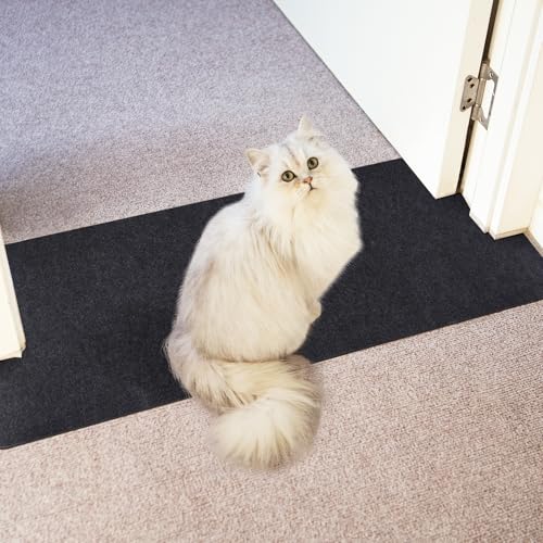 Teppichschutz für Haustiere, Katzenteppichschutz für Tür, kratzfest, unter der Tür, Katzenkratzschutzmatte, leicht zu schneidender Kunststoff-Stopper (grau, 100 cm, Filz, 1 Stück) von Oroonoko