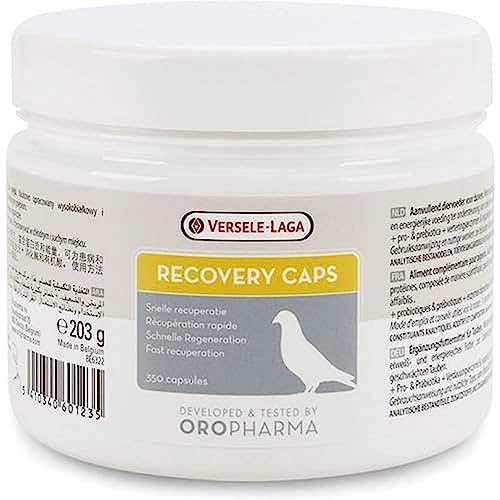 Oropharma Recovery Caps - 350 Kapseln von Versele-Laga