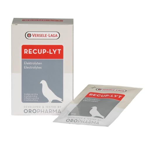 Recup-Lyt Electrolyte, 12 Tütchen mit je 20 g von Oropharma
