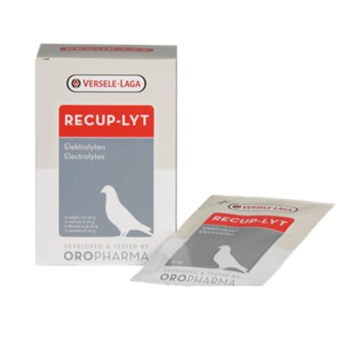Recup-Lyt Electrolyte, 12 Tütchen mit je 20 g von Versele-Laga