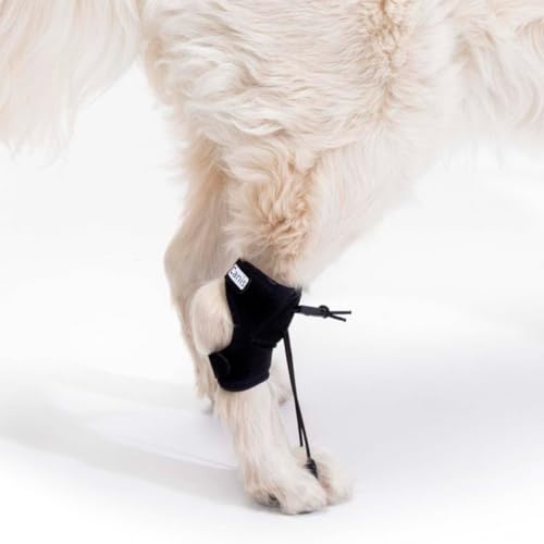 Ortocanis - Korrekturhilfe für Hunde - Knuckling, Myelopathien, Wirbelsäulenverletzungen - Korrigiert Pfotenhaltung, verhindert Verletzungen - Spezialisten Barcelona - Größe: M 11,5-14 cm von Ortocanis