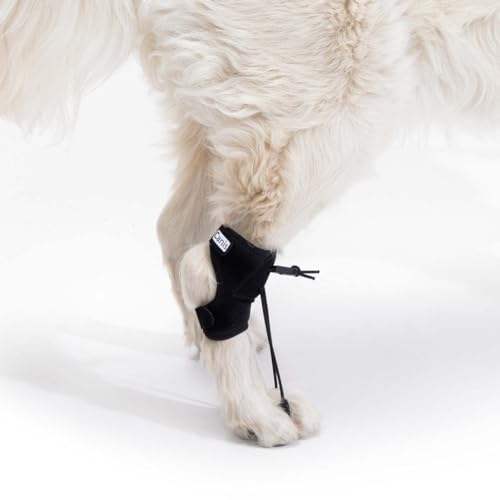 Ortocanis - Korrekturhilfe für Hunde - Knuckling, Myelopathien, Wirbelsäulenverletzungen - Korrigiert Pfotenhaltung, verhindert Verletzungen - Spezialisten Barcelona - Größe: XS 7-9 cm von Ortocanis