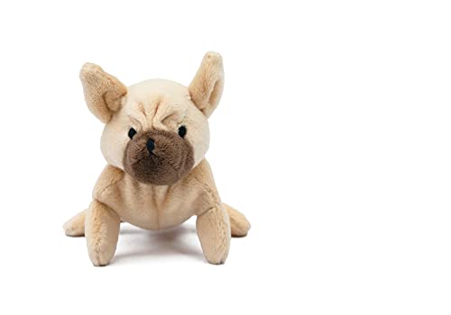 Oscar Newman Französische Bulldogge, Quietschspielzeug, 12,7 cm Länge, Hellbraun von Oscar Newman