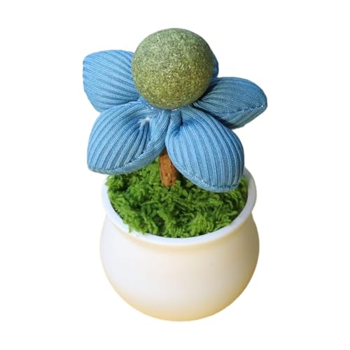 Oseczmut Catnip Interactive Cat Toy, Catnip Lick Balls für Katzen | Katzenspielzeug mit Blumen, interaktives Zahnreinigungszubehör für Haustiere Oseczmut Catnip Interactive Cat Toy, Catnip Lick Balls für Katzen | Katzenspielzeug mit Blumen, interaktives Zahnreinigungszubehör für Haustiere von Oseczmut