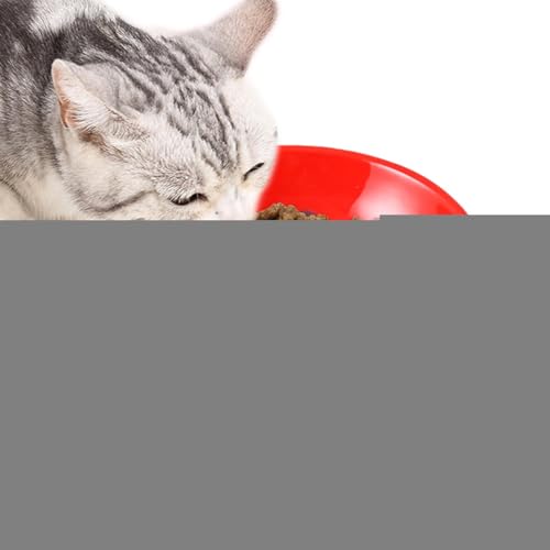 Oseczmut Erhöhte Katzennäpfe,Erhöhter Futternapf für Katzen | Lustige, niedliche erhöhte Katzenschalen mit Fischdesign - Stabiler Futter- und Wasserspender, Haustierbedarf für den Haushalt, Hundenapf von Oseczmut