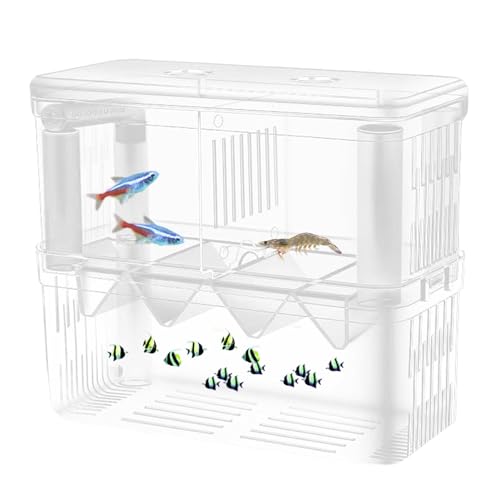 Oseczmut Fischzuchtbox, Inkubator-Aufzuchtbox, Inkubator aus Acryl, doppelschichtiger Aufzuchtbehälter | transparente Schlüpfbox mit Saugnäpfen für Guppy von Oseczmut