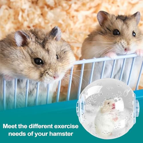Oseczmut Hamster Laufball,Transparentes Leises Hamster Laufrad | Multifunktionale Aktivitätsspielzeug Für Nager Und Kleintiere Oseczmut Hamster Laufball,Transparentes Leises Hamster Laufrad | Multifunktionale Aktivitätsspielzeug Für Nager Und Kleintiere von Oseczmut