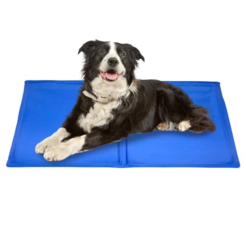 Oseczmut Hundekühlmatte | Kühlmatte Mit Gel Für Hunde & Katzen | Wasserdichtes Kühlkissen Bei Sommerhitze Für Katzen Auf Sofa Autositz Boden Raum Transportbox Garten Drinnen & Draußen Oseczmut Hundekühlmatte | Kühlmatte Mit Gel Für Hunde & Katzen | Wasserdichtes Kühlkissen Bei Sommerhitze Für Katzen Auf Sofa Autositz Boden Raum Transportbox Garten Drinnen & Draußen von Oseczmut