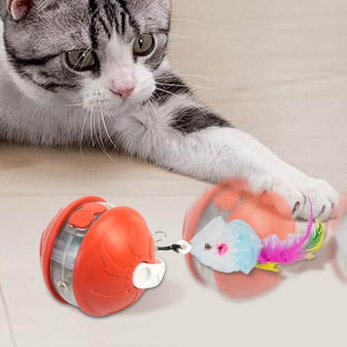 Oseczmut Interaktiver Ball Für Katzen - Interaktives Kätzchen Spielzeug Zum Jagen,Leise Haustier Unterhaltung Bewegung Zubehör Für Balkon Garten Wohnzimmer von Oseczmut