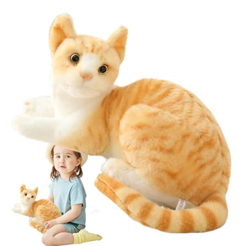 Oseczmut Plüschkissen für Katzen, Plüschtiere für Katzen, Plüschtiere aus Plüsch, Katzenspielzeug, hautfreundliches Katzenspielzeug von Oseczmut