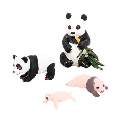 Oshhni 4-teiliges Panda-Tier-Lebenszyklus-Modell, kognitives Spielzeug, pädagogisches Spielzeugzubehör, Party-Klassenzimmer-Zubehör für Kinder-Mädchen, Panda-Wachstumszyklus 1 von Oshhni