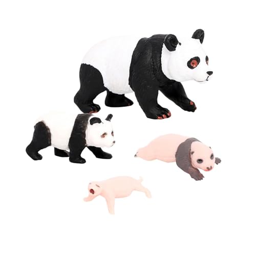 Oshhni 4-teiliges Panda-Tier-Lebenszyklus-Modell, kognitives Spielzeug, pädagogisches Spielzeugzubehör, Party-Klassenzimmer-Zubehör für Kinder-Mädchen, Panda-Wachstumszyklus 2 von Oshhni