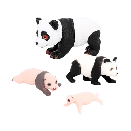 Oshhni 4-teiliges Panda-Tier-Lebenszyklus-Modell, kognitives Spielzeug, pädagogisches Spielzeugzubehör, Party-Klassenzimmer-Zubehör für Kinder-Mädchen, Panda-Wachstumszyklus 3 von Oshhni