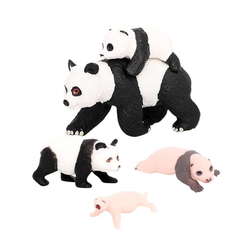 Oshhni 4-teiliges Panda-Tier-Lebenszyklus-Modell, kognitives Spielzeug, pädagogisches Spielzeugzubehör, Party-Klassenzimmer-Zubehör für Kinder-Mädchen, Panda-Wachstumszyklus 4 von Oshhni
