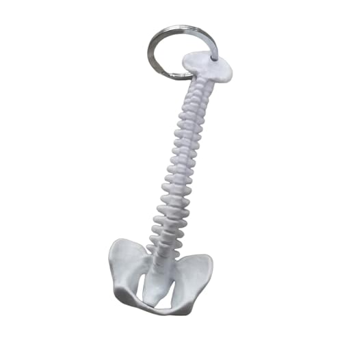 Oshhni Schlüsselanhänger mit menschlicher Wirbelsäule, Sammlerstück, PVC, Mini-Modell der menschlichen Wirbelsäule, niedlicher handgefertigter, Weiß Oshhni Schlüsselanhänger mit menschlicher Wirbelsäule, Sammlerstück, PVC, Mini-Modell der menschlichen Wirbelsäule, niedlicher handgefertigter, Weiß von Oshhni