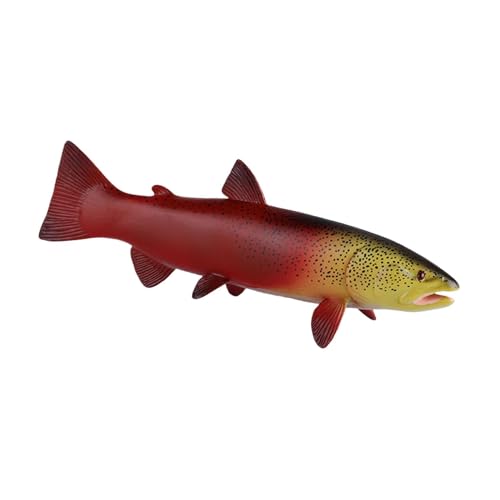 Oshhni Simuliertes Meerestier-Spielzeugmodell, Desktop-Dekoration, pädagogische Spielzeugfiguren, Ornament, Zackenbarsch-Figuren für Geburtstagsgeschenke, Rote Forelle Oshhni Simuliertes Meerestier-Spielzeugmodell, Desktop-Dekoration, pädagogische Spielzeugfiguren, Ornament, Zackenbarsch-Figuren für Geburtstagsgeschenke, Rote Forelle von Oshhni