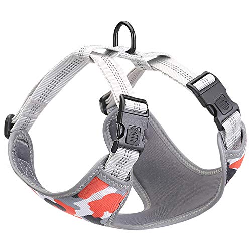 Osmond Hundegeschirr aus Netzstoff, Leine-Set, Spazierengehen, Outdoor-Gurt, Welpenweste, reflektierender Gurt, Orange Osmond Hundegeschirr aus Netzstoff, Leine-Set, Spazierengehen, Outdoor-Gurt, Welpenweste, reflektierender Gurt, Orange von Osmond