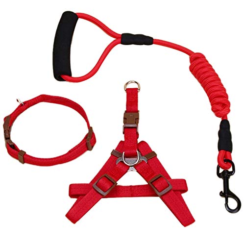 Osmond L Hundeleine, Nylon, für Hunde, oder Training, Halsband und Geschirr von Osmond