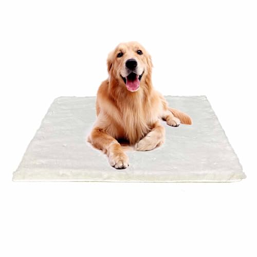 Ostlttyn Hundebett, waschbar, 105 x 70 cm, Matratze für kleine, mittelgroße und große Hunde, wasserdicht, ultraweich, orthopädische Hundebett-Matte mit rutschfester Unterseite Ostlttyn Hundebett, waschbar, 105 x 70 cm, Matratze für kleine, mittelgroße und große Hunde, wasserdicht, ultraweich, orthopädische Hundebett-Matte mit rutschfester Unterseite von Ostlttyn