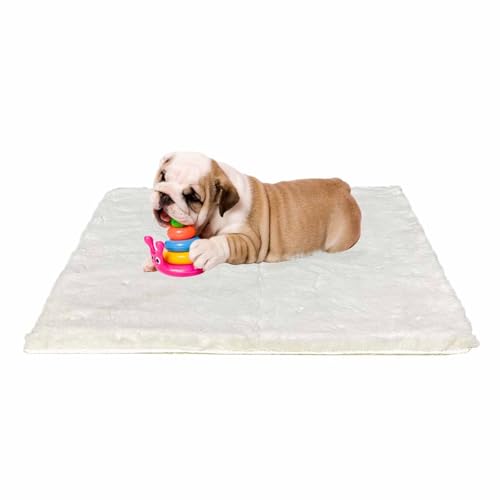 Ostlttyn Hundebett Mittelgroße Hunde - 76x54cm Hundekissen Flauschig Hundematte Waschbar Hundematratze Für Fleine Hunde rutschfeste Unterseite, Beige Ostlttyn Hundebett Mittelgroße Hunde - 76x54cm Hundekissen Flauschig Hundematte Waschbar Hundematratze Für Fleine Hunde rutschfeste Unterseite, Beige von Ostlttyn