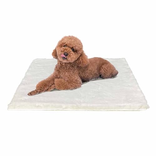 Ostlttyn Hundebett kleine Hunde - 61x45cm Hundekissen Flauschig Hundematte Waschbar Hundematratze Für Fleine Hunde rutschfeste Unterseite, Beige Ostlttyn Hundebett kleine Hunde - 61x45cm Hundekissen Flauschig Hundematte Waschbar Hundematratze Für Fleine Hunde rutschfeste Unterseite, Beige von Ostlttyn