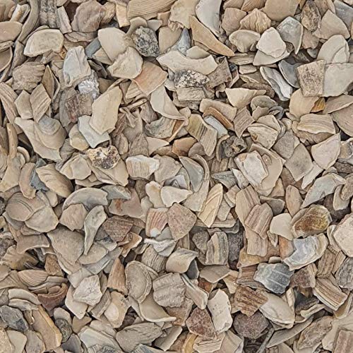 Ostrea Geflügelgrit 4-7mm Muschelschalenschrot 25kg Ostrea Geflügelgrit 4-7mm Muschelschalenschrot 25kg von Ostrea