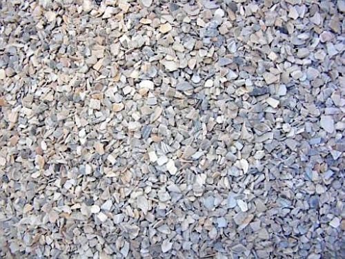 Ostrea Vogelgrit Muschelgrit für Hühner Legehühner Muschelkalk 5 kg Ostrea Vogelgrit Muschelgrit für Hühner Legehühner Muschelkalk 5 kg von Ostrea