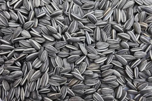 20 kg Gestreifte Sonnenblumenkerne Vogelfutter 20 kg Gestreifte Sonnenblumenkerne Vogelfutter von Oswalt