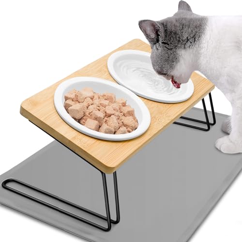 Otauoaea Katzennapf Erhöht - 2er Set Futternapf Katze aus Keramik - 15° gekippte Futterstation Katzen Napfset Hundenapf mit Napfunterlage Silikon - Fressnapf und Wassernapf für Katzen und Kleine Hunde Otauoaea Katzennapf Erhöht - 2er Set Futternapf Katze aus Keramik - 15° gekippte Futterstation Katzen Napfset Hundenapf mit Napfunterlage Silikon - Fressnapf und Wassernapf für Katzen und Kleine Hunde von Otauoaea