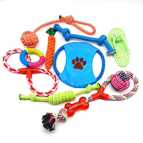 Ototon 10 Stück Hundespielzeug, langlebig, Kauspielzeug für kleine und mittelgroße Hunde von Ototon