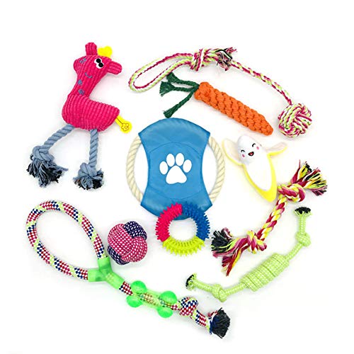 Ototon 10 Stück Kauspielzeug für Hunde, langlebig, Seil, Trainingswerkzeug für kleine und mittelgroße Hunde von Ototon
