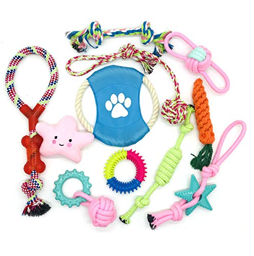 Ototon 11 Stück Hundespielzeug, langlebig, Kauspielzeug für kleine und mittelgroße Hunde von Ototon